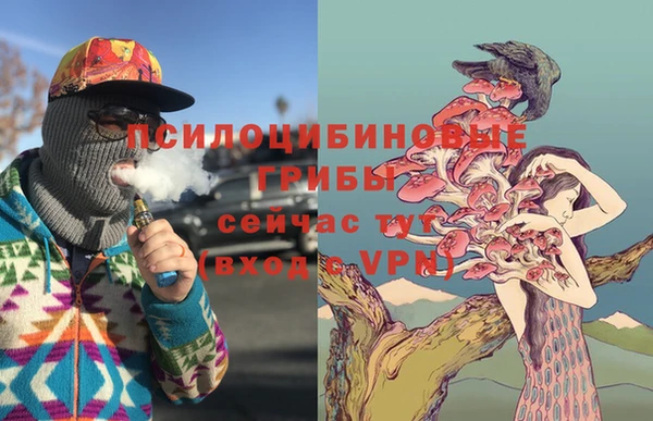 скорость Инсар