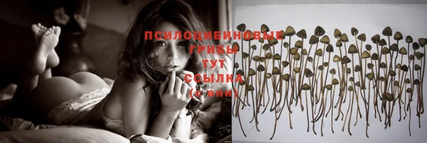гашиш Инта