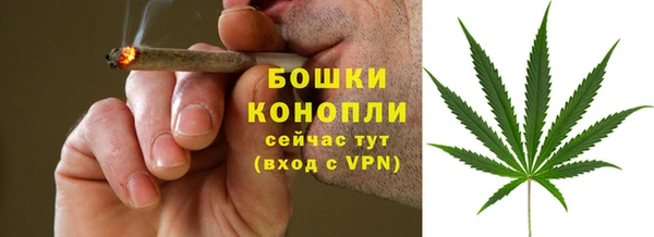 гидропоника Иннополис