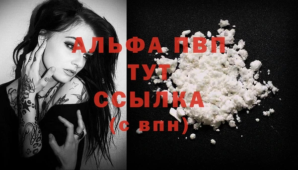 гидропоника Иннополис
