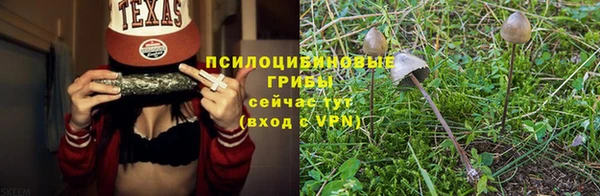 гидропоника Иннополис
