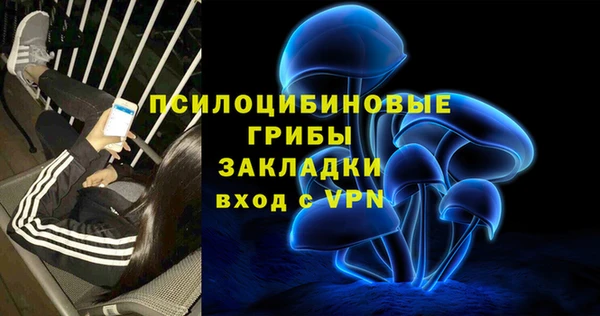 гидропоника Иннополис