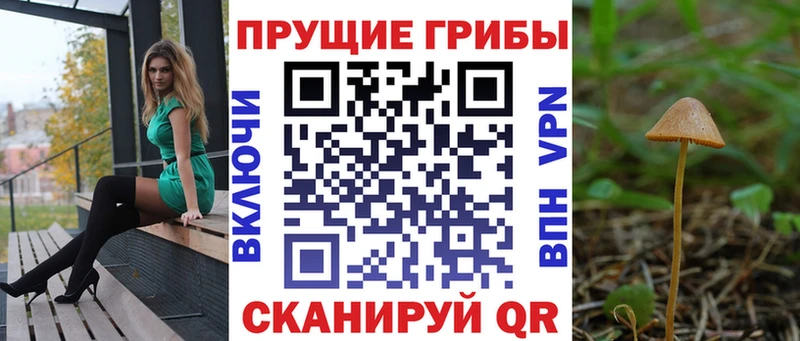 Купить где  Черноголовка  Галлюциногенные грибы Psilocybine cubensis 