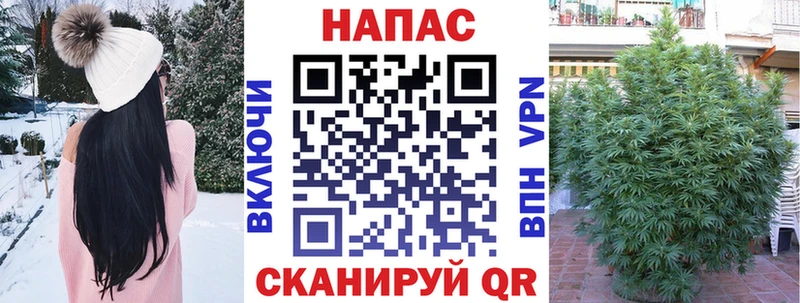 Купить закладки  Черноголовка  Конопля AK-47 